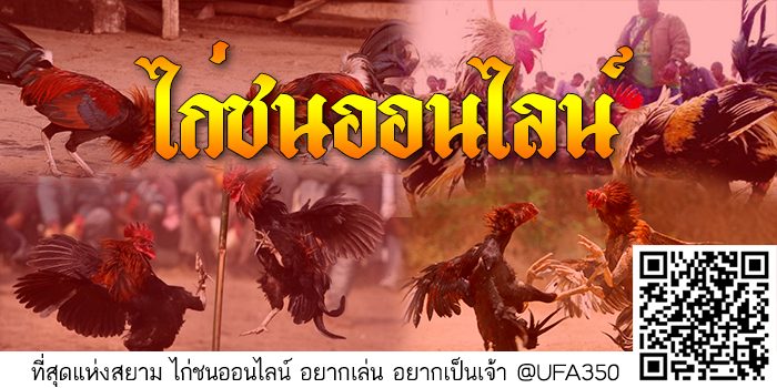 ไก่ชนออนไลน์