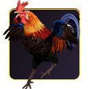 ไก่ชนออนไลน์
