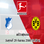 ฮอฟเฟ่นไฮม์ vs ดอร์ทมุนด์ บุนเดสลีกา